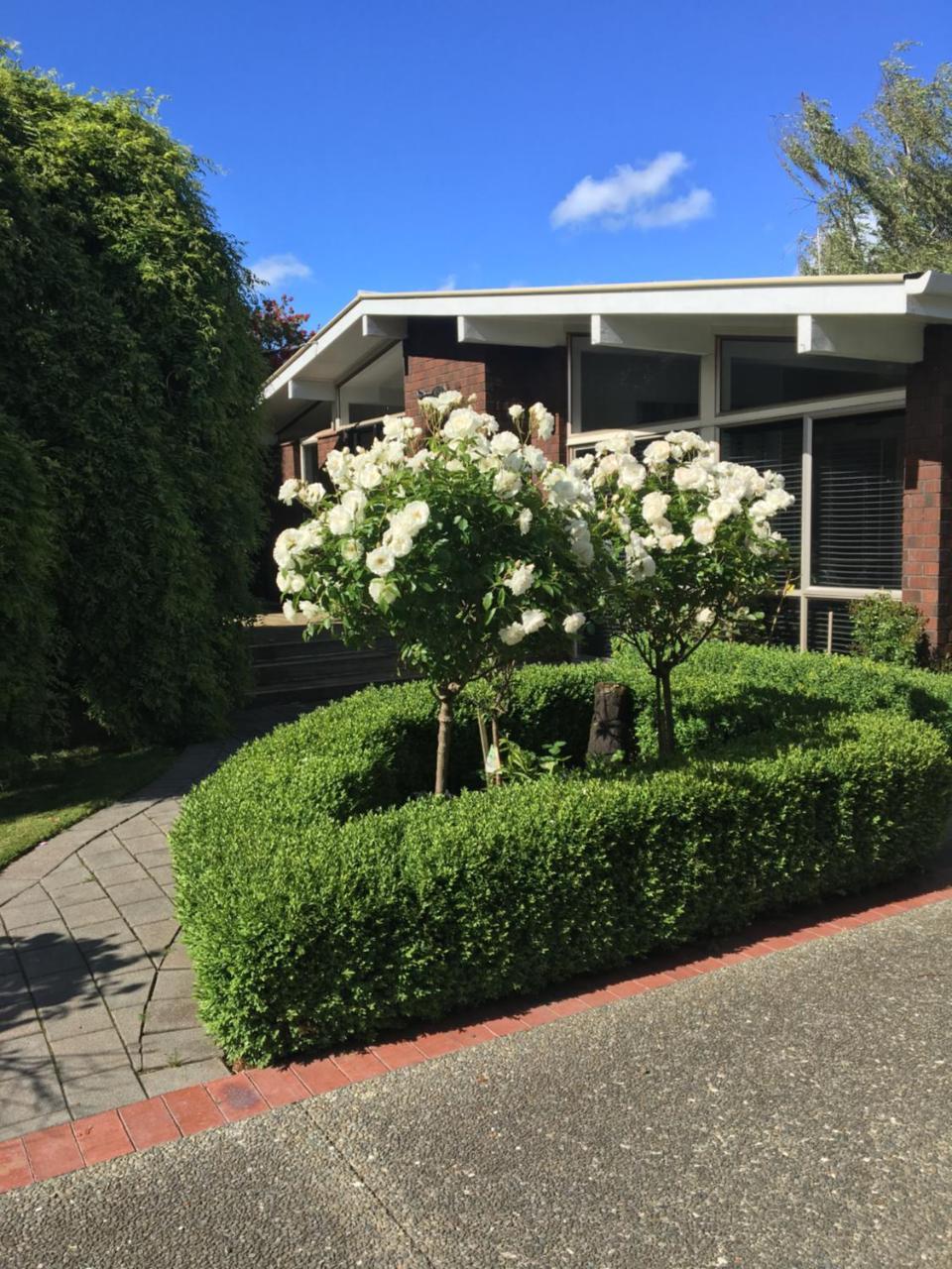 Quiet Boutique Generous Breakfast Hotel Palmerston North Exterior photo